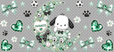 16oz Sanrio-K  855